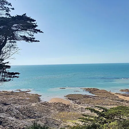 Avec Balcon Au Port De Plaisance De - Fr-1-361-119 *